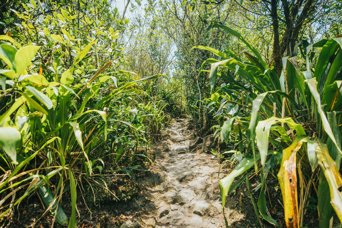 av-hiking-3.jpg