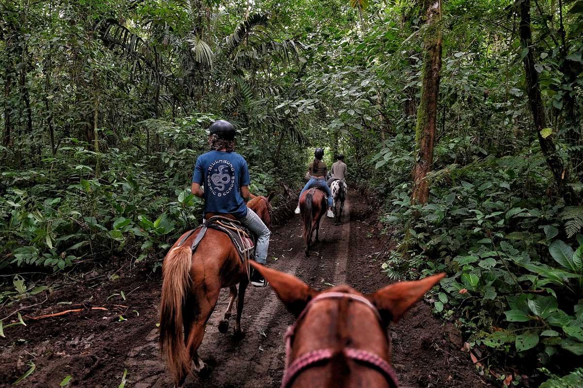 horsebackriding.jpg