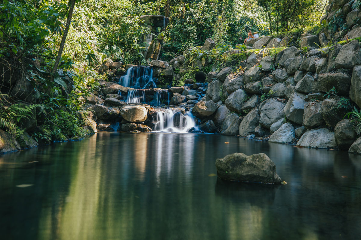 natural-pools-1.jpg
