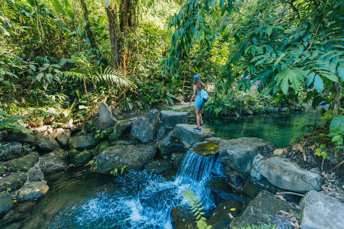 natural-pools-3.jpg