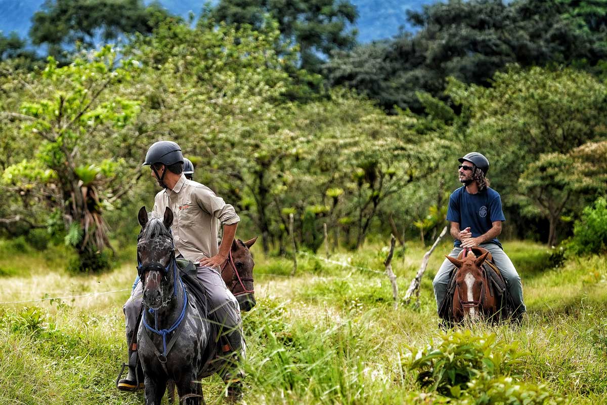 horsebackriding-gallery-1-1.jpg