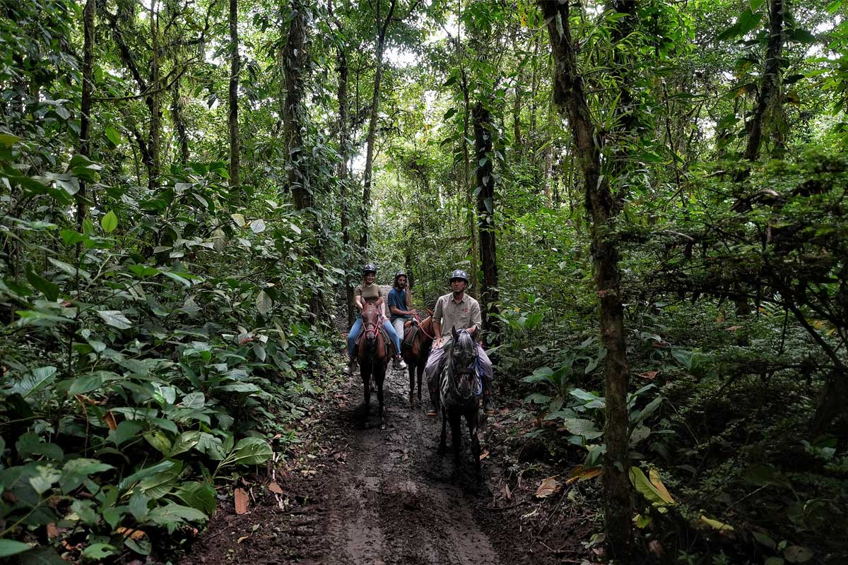 horsebackriding-gallery-2-1.jpg