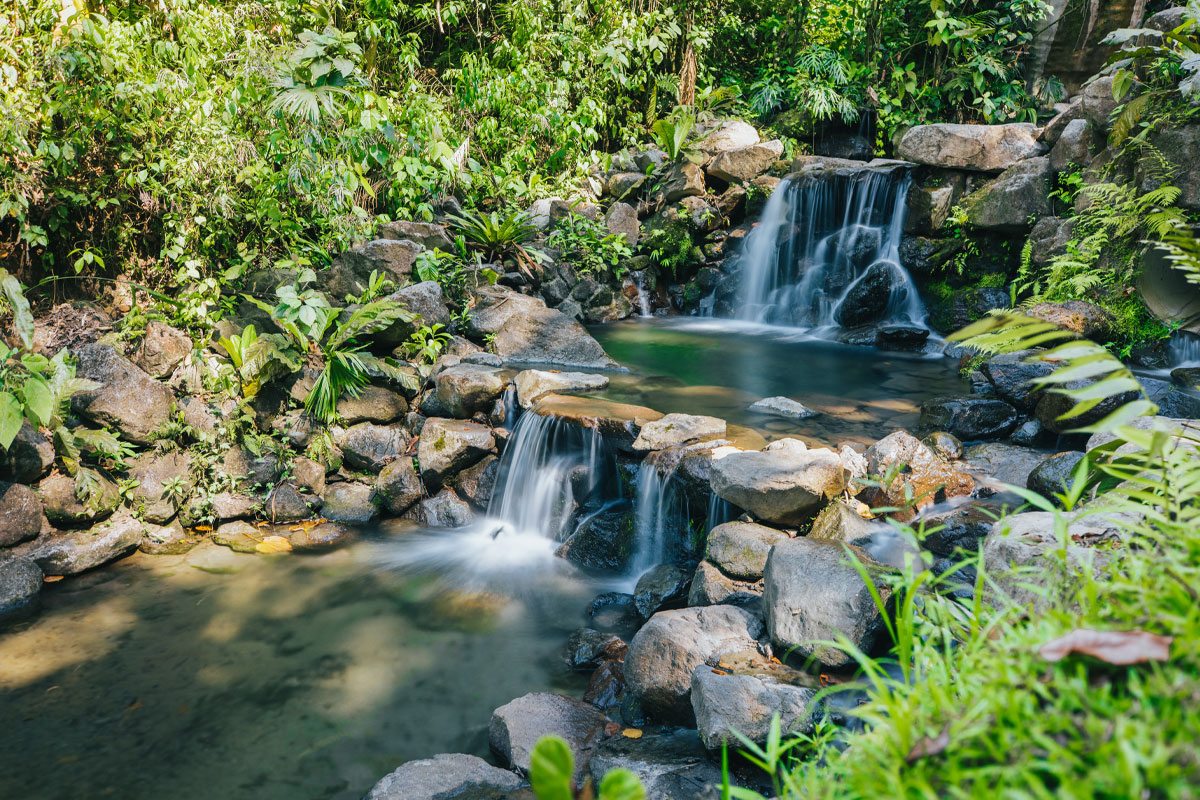 natural-pools-2.jpg